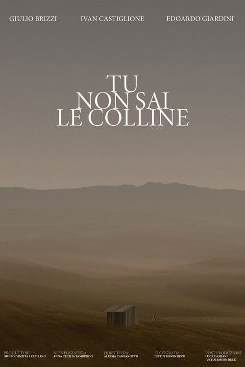 Tu non sai le colline poster