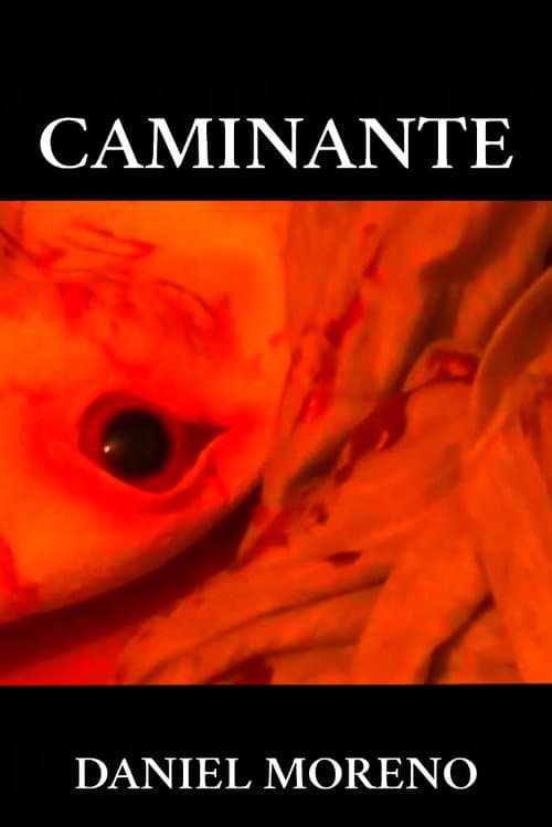 CAMINANTE poster