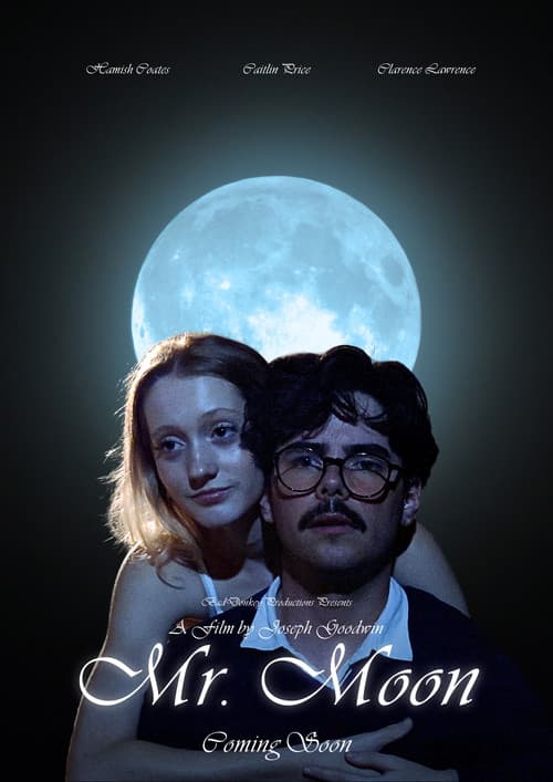 Mr. Moon poster