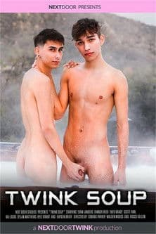 Twink Soup poster