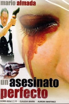 Un Asesinato Perfecto poster