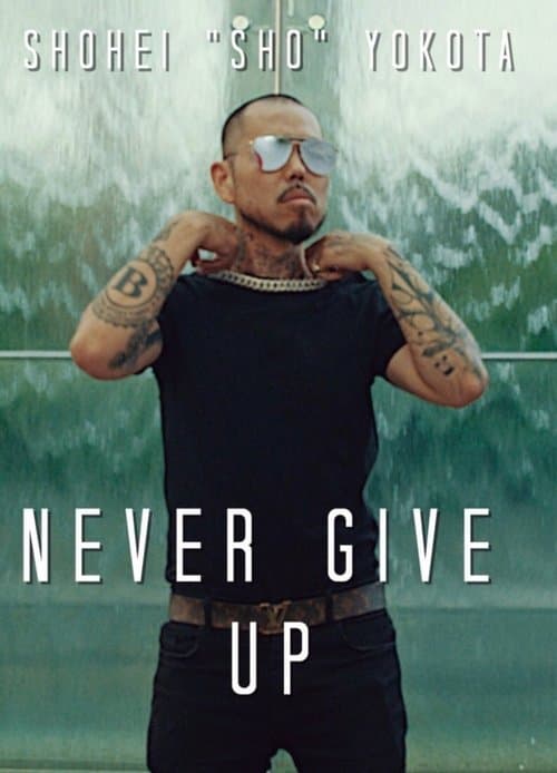 NEVER GIVE UP poster