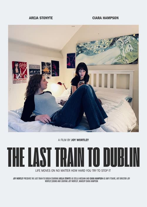 The Last Train to Dublin poster