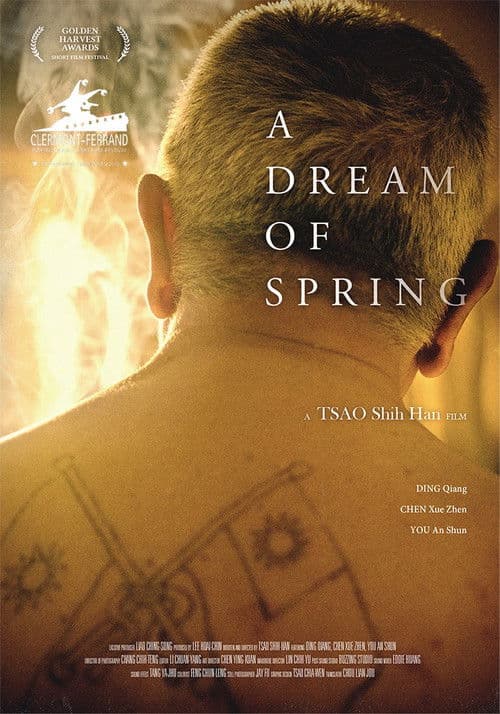 A Dream of Spring poster