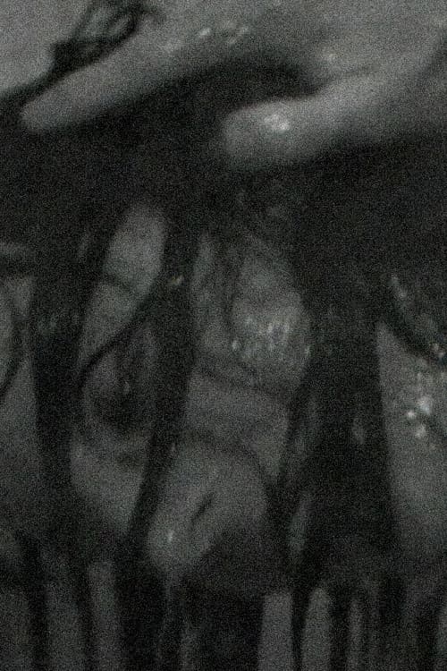 Washing Machine poster