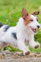 Seven Blessings profile photo