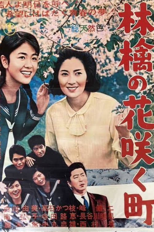 Apple Blossom Town poster