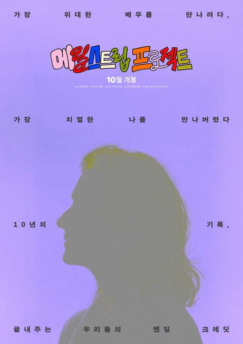The Meryl Streep Project poster
