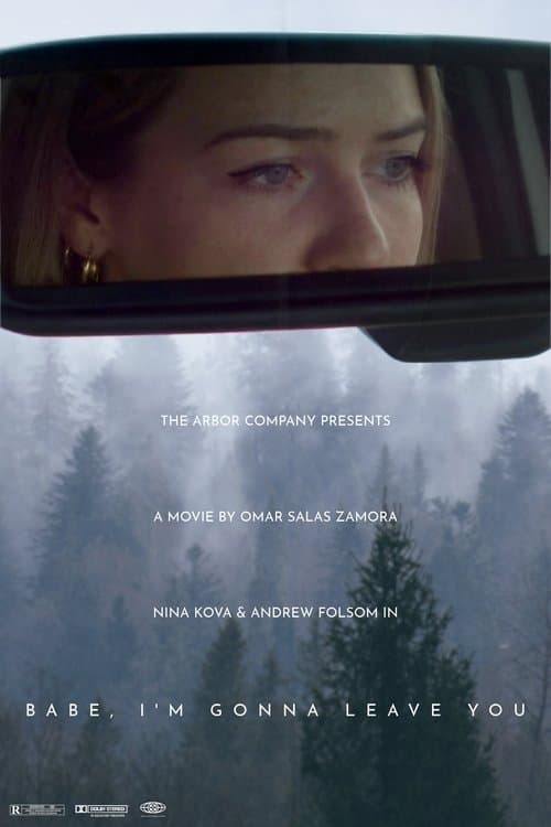Babe, I’m Gonna Leave You poster