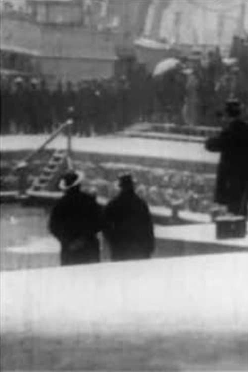 The Reception of King Haakon in Kristiania poster