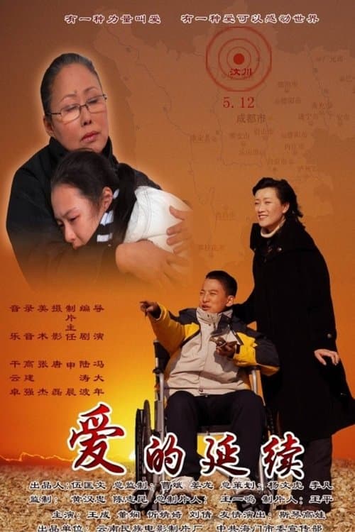 爱的延续 poster