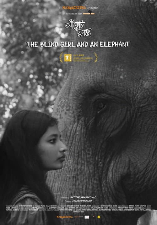 The Blind Girl and an Elephant poster