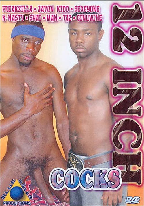 12 Inch Cocks poster