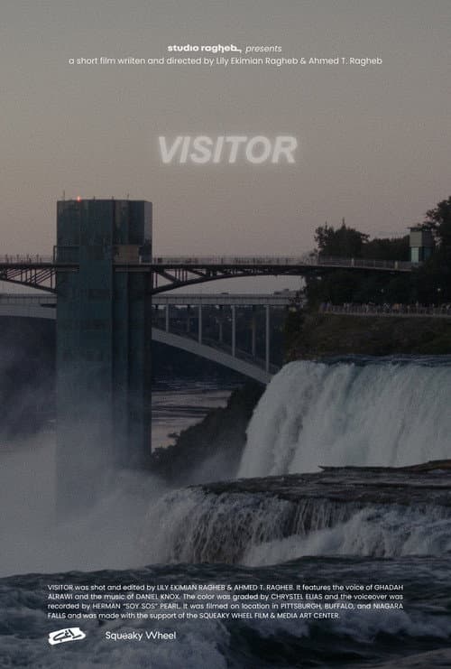Visitor