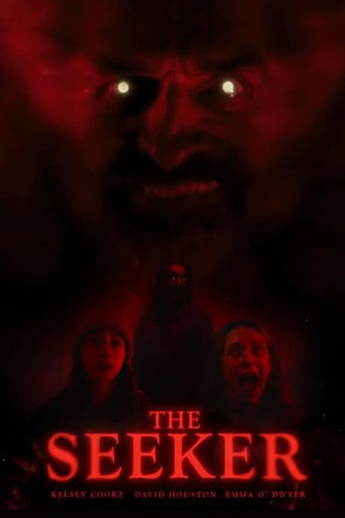 THE SEEKER poster