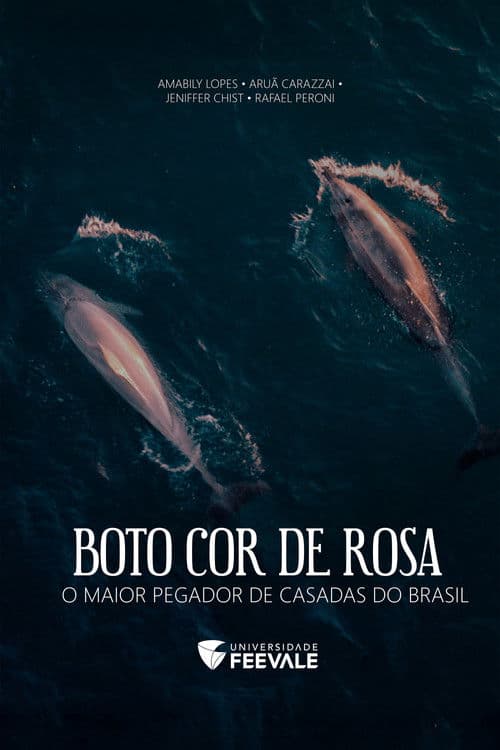 Boto Cor de Rosa - O Maior Pegador de Casadas do Brasil poster