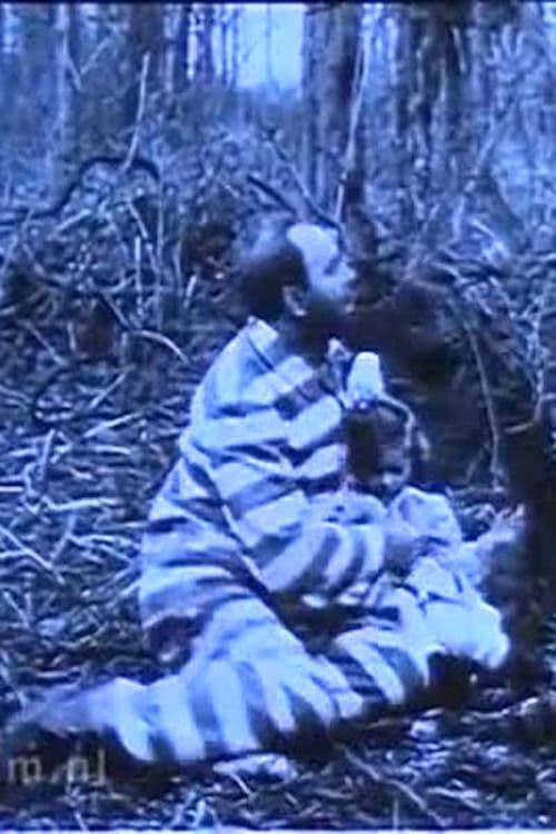 In Northern Forests poster