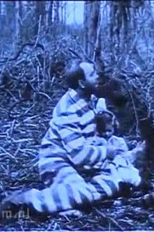 In Northern Forests poster