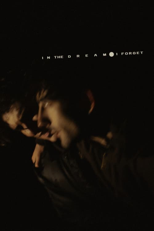 In the Dream I Forget poster