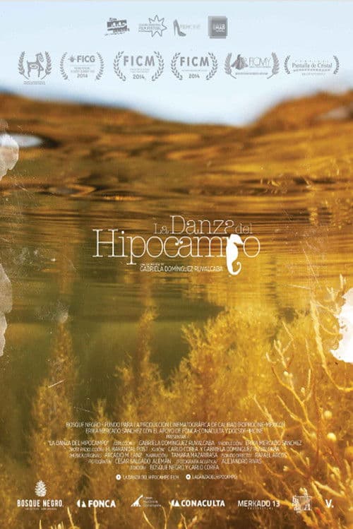 The Dance of Memory poster