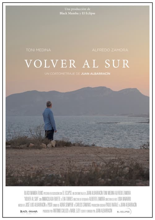 Volver al sur poster