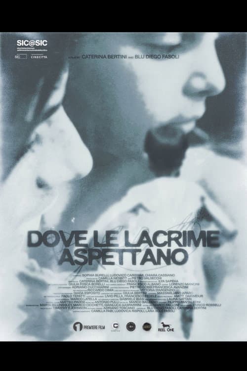 Where The Tears Await poster