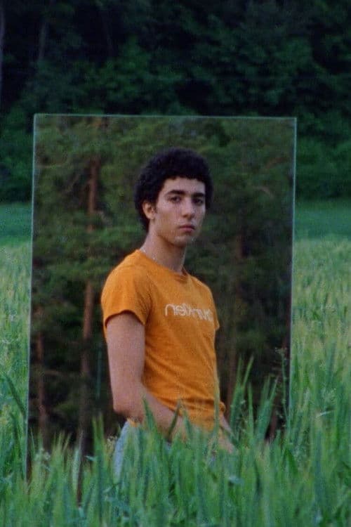 Voguing with Beethoven poster