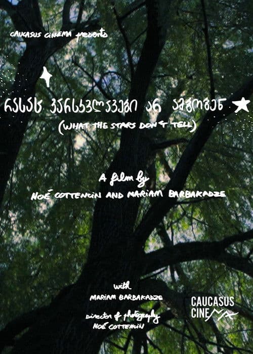 What the Stars Don’t Tell poster