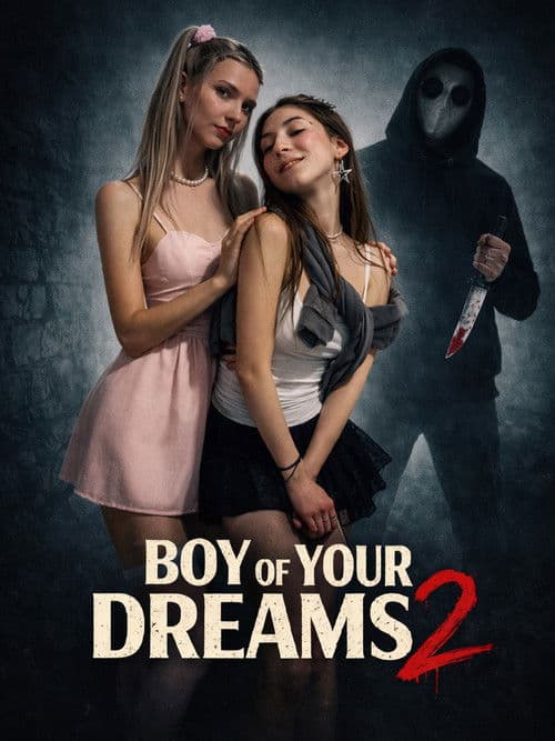 Boy Of Your Dreams 2 poster