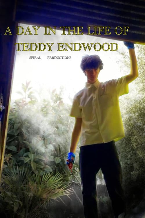 A day in the life of Teddy Endwood poster