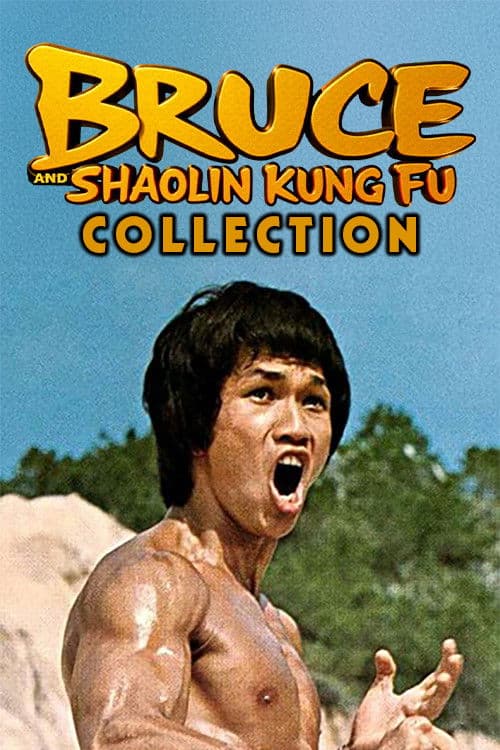 Bruce and Shaolin Kung Fu Collection