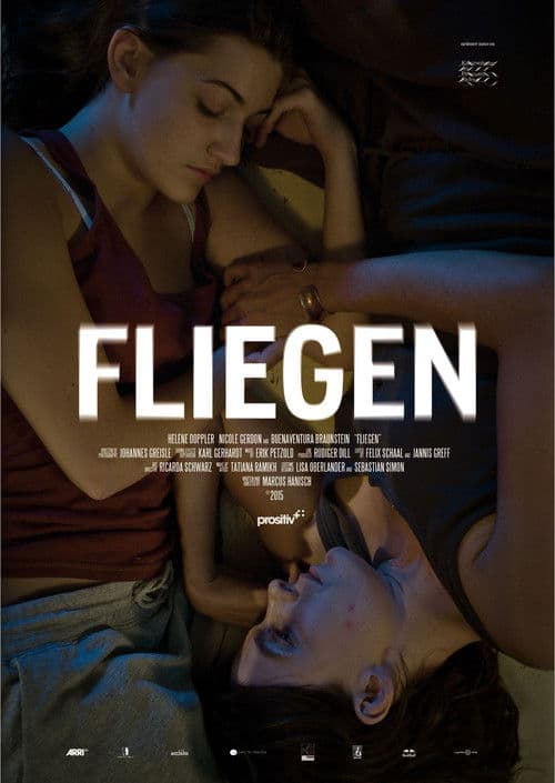 Fliegen poster