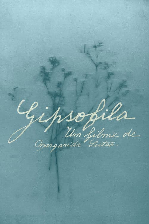 Gypsophila poster