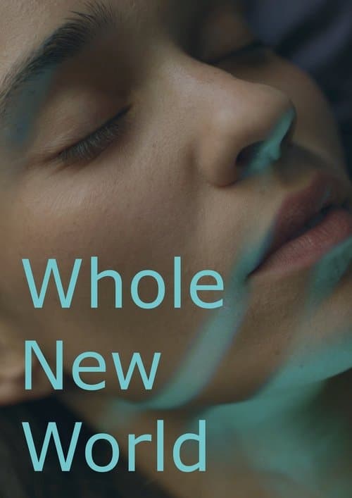 Whole New World poster