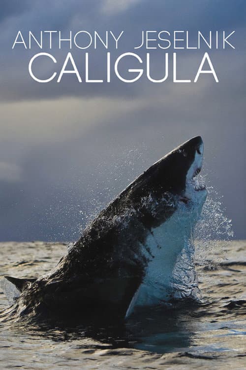 Anthony Jeselnik: Caligula poster