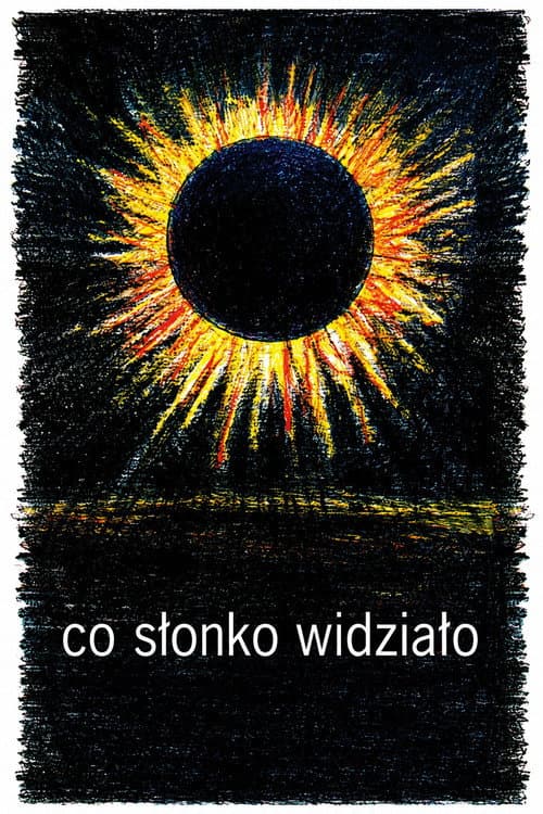 What the Sun Saw poster