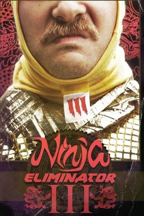Ninja Eliminator 3: Guardian of the Dragon Medallion poster