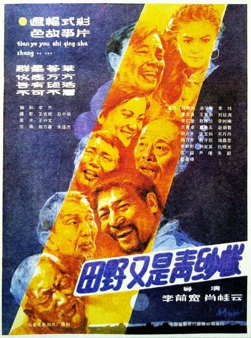 田野又是青纱帐 poster
