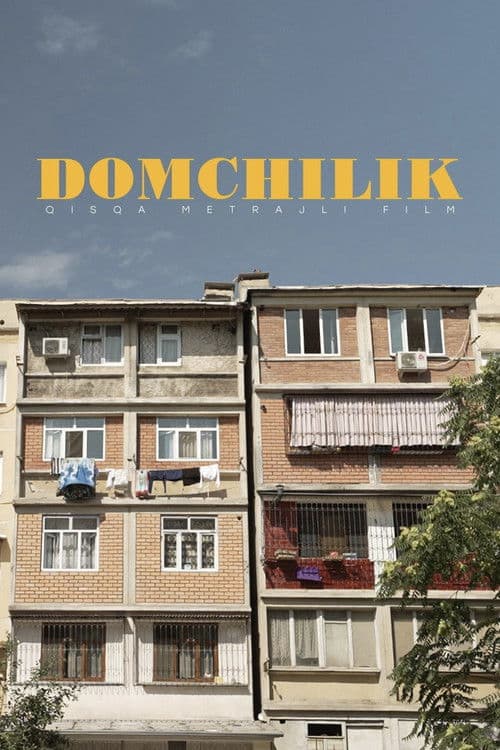 Domchilik poster