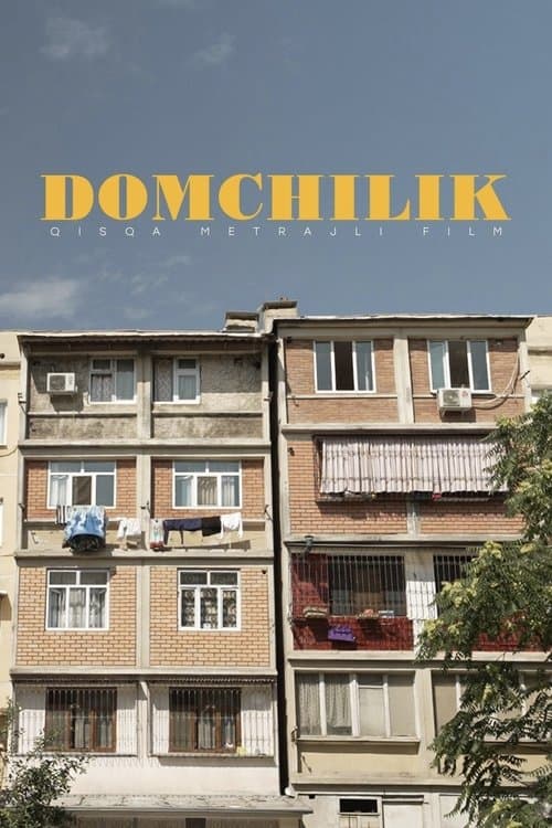 Domchilik poster