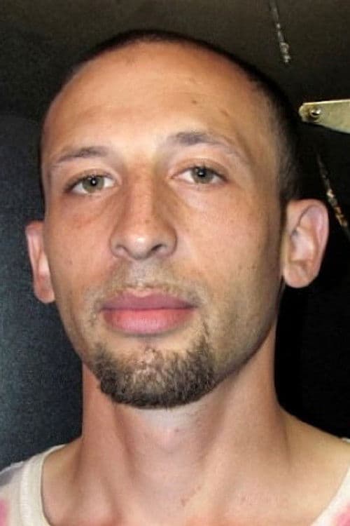 Austin Grecko profile photo