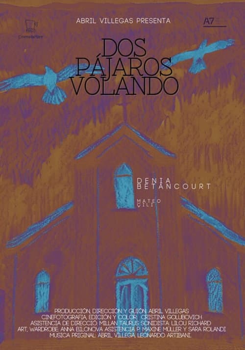 Dos pájaros volando poster