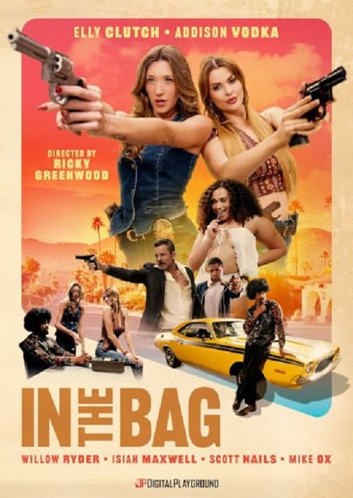 In The Bag poster