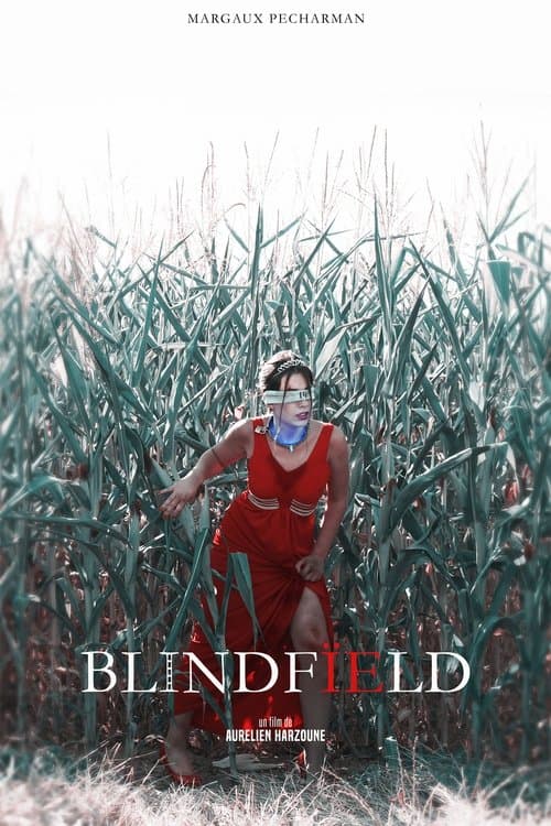 Blindfïeld poster