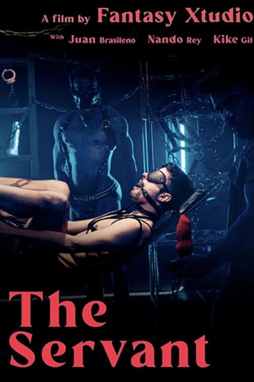 The Servant poster