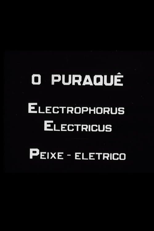 O Puraquê poster