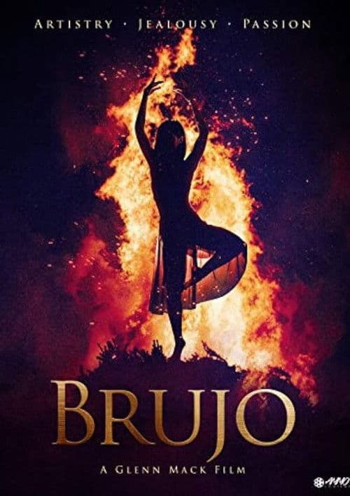 Brujo poster