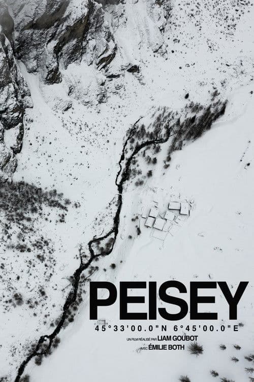 PEISEY poster