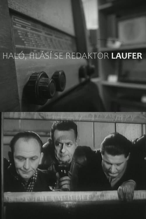 Haló, hlásí se redaktor Laufer! poster