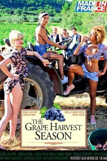 The Grape Harvest Season poster